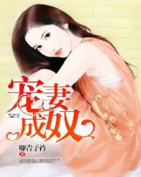 宠妻小说